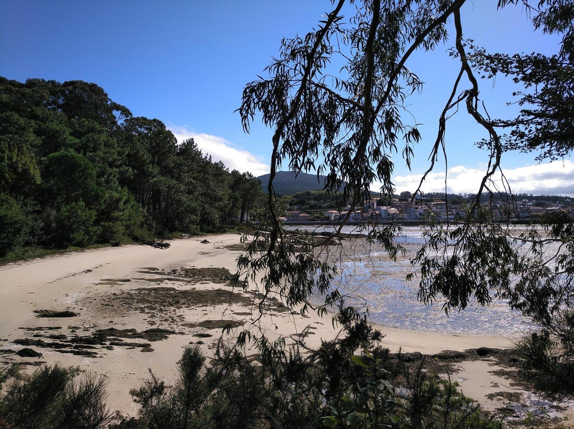 Casa Vily Vilagarcia de Arousa Eksteriør billede